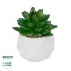 Artificial Garden SUCCULENT SEDEVERIA POTTED PLANT 21002 Διακοσμητικό Φυτό Σεδεβέρια  Φ8 x Υ9cm