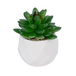 Artificial Garden SUCCULENT SEDEVERIA POTTED PLANT 21002 Διακοσμητικό Φυτό Σεδεβέρια  Φ8 x Υ9cm