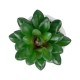 Artificial Garden SUCCULENT SEDEVERIA POTTED PLANT 21002 Διακοσμητικό Φυτό Σεδεβέρια  Φ8 x Υ9cm