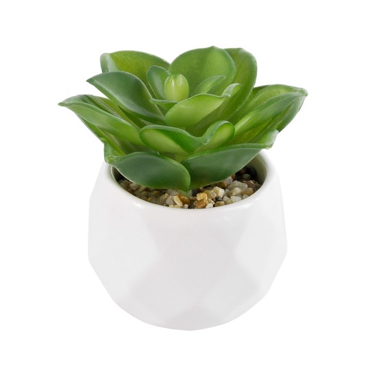 Artificial Garden SUCCULENT ECHEVERIA 21003 Διακοσμητικό Φυτό Παχύφυτο Εχεβέρια Υ8cm