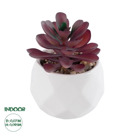 Artificial Garden SUCCULENT CRASSULA 21004 Διακοσμητικό Φυτό Παχύφυτο Κράσουλα Υ9.5cm