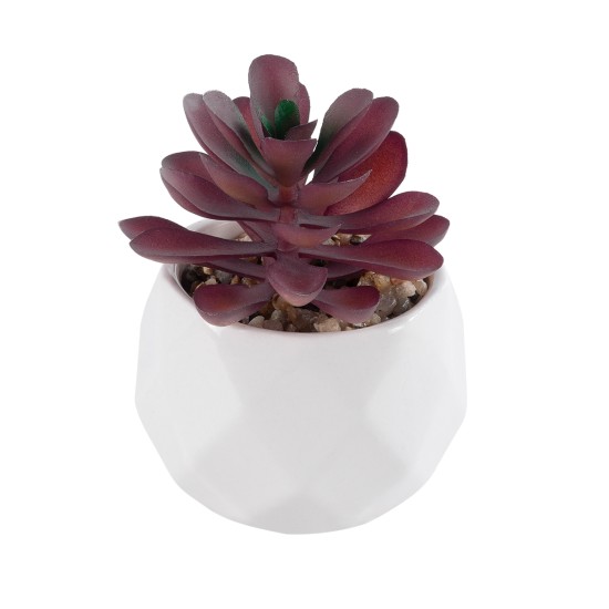 Artificial Garden SUCCULENT CRASSULA 21004 Διακοσμητικό Φυτό Παχύφυτο Κράσουλα Υ9.5cm