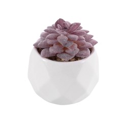 Artificial Garden SUCCULENT SEDEVERIA 21005 Διακοσμητικό Φυτό Παχύφυτο Σεντεβέρια Υ8cm