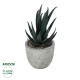 Artificial Garden SUCCULENT ALOE POTTED PLANT 21007 Διακοσμητικό Φυτό Αλόη  Φ7 x Υ14cm