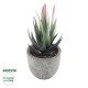 Artificial Garden SUCCULENT ALOE 21008 Διακοσμητικό Φυτό Παχύφυτο Αλόη Υ14cm