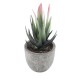 Artificial Garden SUCCULENT ALOE 21008 Διακοσμητικό Φυτό Παχύφυτο Αλόη Υ14cm