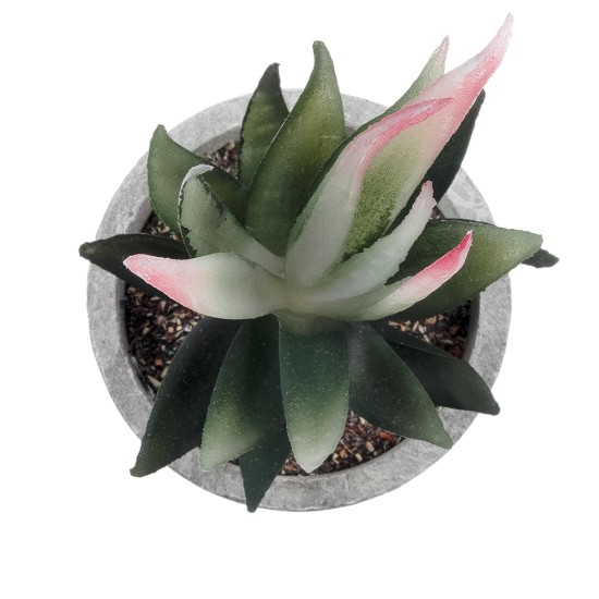 Artificial Garden SUCCULENT ALOE 21008 Διακοσμητικό Φυτό Παχύφυτο Αλόη Υ14cm