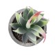 Artificial Garden SUCCULENT ALOE 21009 Διακοσμητικό Φυτό Παχύφυτο Αλόη Υ14cm