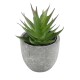 Artificial Garden SUCCULENT ALOE 21010 Διακοσμητικό Φυτό Παχύφυτο Αλόη Υ11cm