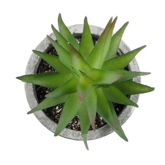 Artificial Garden SUCCULENT ALOE 21010 Διακοσμητικό Φυτό Παχύφυτο Αλόη Υ11cm