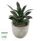 Artificial Garden SUCCULENT ALOE 21011 Διακοσμητικό Φυτό Παχύφυτο Αλόη Υ13cm