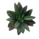 Artificial Garden SUCCULENT ALOE 21011 Διακοσμητικό Φυτό Παχύφυτο Αλόη Υ13cm