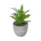 Artificial Garden SUCCULENT ALOE POTTED PLANT 21012 Διακοσμητικό Φυτό Αλόη  Φ9 x Υ13cm