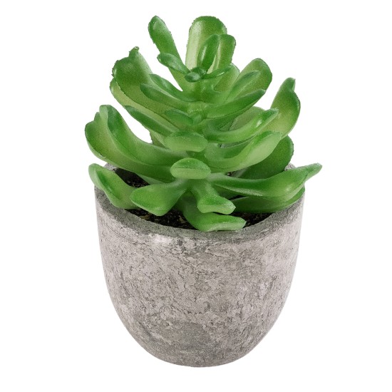 Artificial Garden SUCCULENT CRASSULA 21014 Διακοσμητικό Φυτό Παχύφυτο Κράσουλα Υ11.5cm