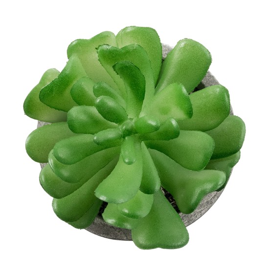 Artificial Garden SUCCULENT CRASSULA 21014 Διακοσμητικό Φυτό Παχύφυτο Κράσουλα Υ11.5cm