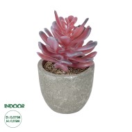 Artificial Garden SUCCULENT CRASSULA POTTED PLANT 21015 Διακοσμητικό Φυτό Κρασούλα  Φ7 x Υ11,5cm