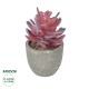 Artificial Garden SUCCULENT CRASSULA POTTED PLANT 21015 Διακοσμητικό Φυτό Κρασούλα  Φ7 x Υ11,5cm