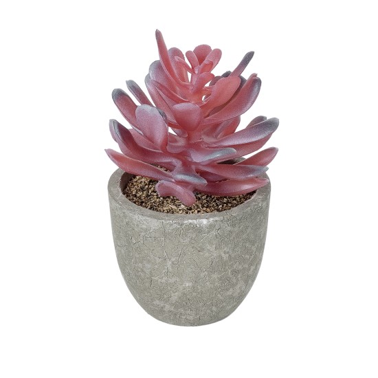 Artificial Garden SUCCULENT CRASSULA POTTED PLANT 21015 Διακοσμητικό Φυτό Κρασούλα  Φ7 x Υ11,5cm