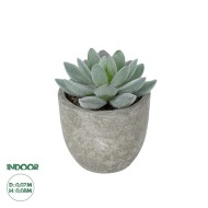 Artificial Garden SUCCULENT SEDEVERIA POTTED PLANT 21016 Διακοσμητικό Φυτό Σεδεβέρια  Φ7 x Υ8cm