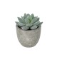 Artificial Garden SUCCULENT SEDEVERIA POTTED PLANT 21016 Διακοσμητικό Φυτό Σεδεβέρια  Φ7 x Υ8cm