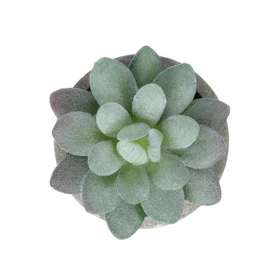 Artificial Garden SUCCULENT SEDEVERIA POTTED PLANT 21016 Διακοσμητικό Φυτό Σεδεβέρια  Φ7 x Υ8cm