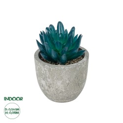 Artificial Garden SUCCULENT SEDEVERIA POTTED PLANT 21018 Διακοσμητικό Φυτό Σεδεβέρια  Φ6,5 x Υ9cm