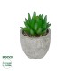 Artificial Garden SUCCULENT SEDEVERIA POTTED PLANT 21019 Διακοσμητικό Φυτό Σεδεβέρια  Φ6,5 x Υ9cm