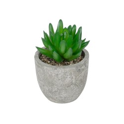 Artificial Garden SUCCULENT SEDEVERIA POTTED PLANT 21019 Διακοσμητικό Φυτό Σεδεβέρια  Φ6,5 x Υ9cm