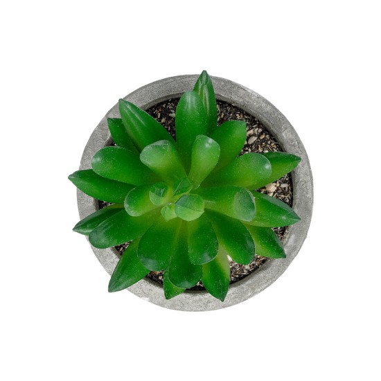 Artificial Garden SUCCULENT SEDEVERIA POTTED PLANT 21019 Διακοσμητικό Φυτό Σεδεβέρια  Φ6,5 x Υ9cm