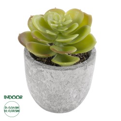 Artificial Garden SUCCULENT SEDEVERIA 21021 Διακοσμητικό Φυτό Παχύφυτο Σεντεβέρια Υ8.5cm