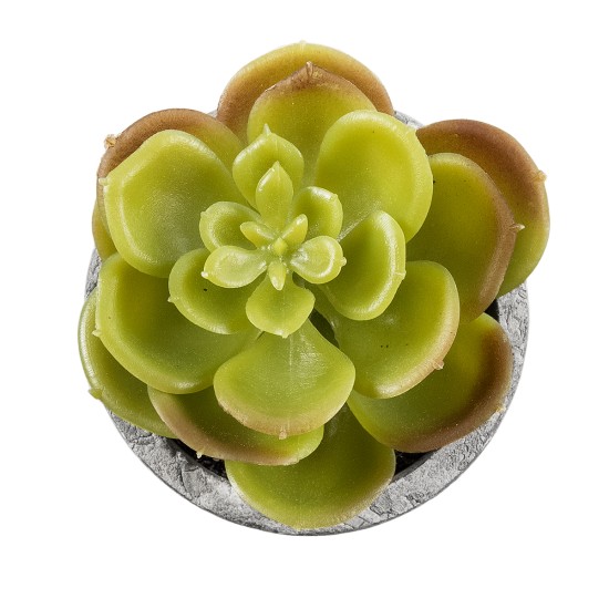 Artificial Garden SUCCULENT SEDEVERIA 21021 Διακοσμητικό Φυτό Παχύφυτο Σεντεβέρια Υ8.5cm