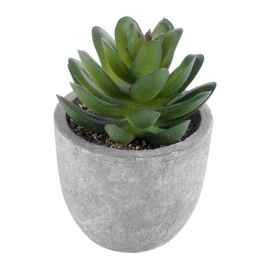 Artificial Garden SUCCULENT SEDEVERIA 21023 Διακοσμητικό Φυτό Παχύφυτο Σεντεβέρια Υ10cm