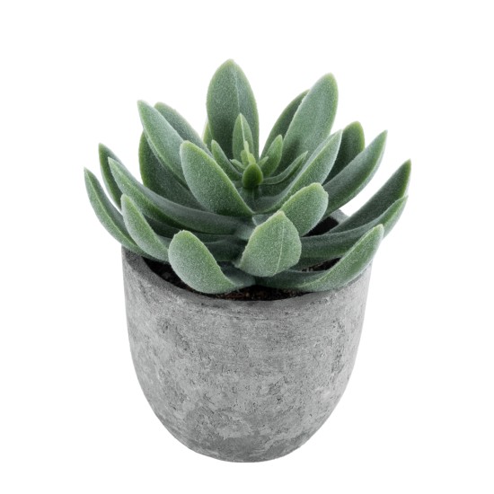 Artificial Garden SUCCULENT SEDEVERIA 21025 Διακοσμητικό Φυτό Παχύφυτο Σεντεβέρια Υ10.5cm