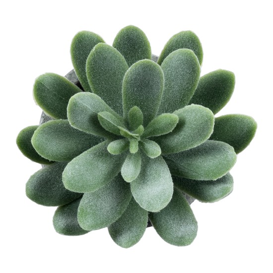 Artificial Garden SUCCULENT SEDEVERIA 21025 Διακοσμητικό Φυτό Παχύφυτο Σεντεβέρια Υ10.5cm