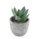 Artificial Garden SUCCULENT ALOE 21026 Διακοσμητικό Φυτό Παχύφυτο Αλόη Υ10.5cm