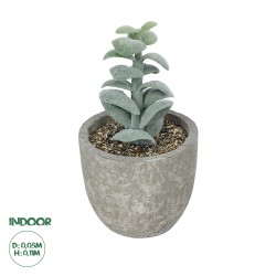 Artificial Garden SUCCULENT SEDEVERIA POTTED PLANT 21027 Διακοσμητικό Φυτό Σεδεβέρια  Φ5 x Υ11cm