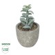 Artificial Garden SUCCULENT SEDEVERIA POTTED PLANT 21027 Διακοσμητικό Φυτό Σεδεβέρια  Φ5 x Υ11cm