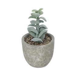 Artificial Garden SUCCULENT SEDEVERIA POTTED PLANT 21027 Διακοσμητικό Φυτό Σεδεβέρια  Φ5 x Υ11cm