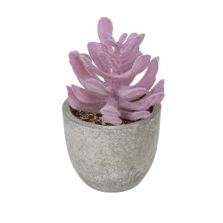 Artificial Garden SUCCULENT CRASSULA POTTED PLANT 21029 Διακοσμητικό Φυτό Κρασούλα  Φ7 x Υ10,5cm