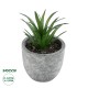 Artificial Garden SUCCULENT ALOE 21030 Διακοσμητικό Φυτό Παχύφυτο Αλόη Υ10cm