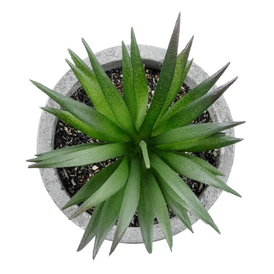 Artificial Garden SUCCULENT ALOE 21030 Διακοσμητικό Φυτό Παχύφυτο Αλόη Υ10cm