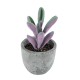 Artificial Garden SUCCULENT CRASULLA 21031 Διακοσμητικό Φυτό Παχύφυτο Κράσουλα Υ11cm