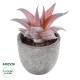 Artificial Garden SUCCULENT ALOE 21032 Διακοσμητικό Φυτό Παχύφυτο Αλόη Υ11cm