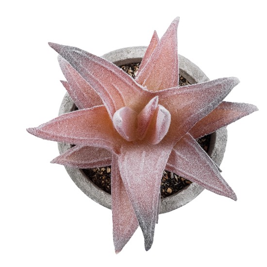 Artificial Garden SUCCULENT ALOE 21032 Διακοσμητικό Φυτό Παχύφυτο Αλόη Υ11cm