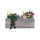 Artificial Garden SUCCULENT VARIUS PLANT POTTED 21033 Διακοσμητικό Φυτό Μίξ Μ29 x Π10 x Υ18cm