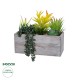 Artificial Garden SUCCULENT VARIUS PLANT POTTED 21034 Διακοσμητικό Φυτό Μίξ Μ23 x Π13 x Υ23cm