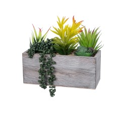 Artificial Garden SUCCULENT VARIUS PLANT POTTED 21034 Διακοσμητικό Φυτό Μίξ Μ23 x Π13 x Υ23cm