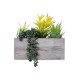 Artificial Garden SUCCULENT VARIUS PLANT POTTED 21034 Διακοσμητικό Φυτό Μίξ Μ23 x Π13 x Υ23cm