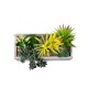 Artificial Garden SUCCULENT VARIUS PLANT POTTED 21034 Διακοσμητικό Φυτό Μίξ Μ23 x Π13 x Υ23cm