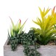 Artificial Garden SUCCULENT VARIUS PLANT POTTED 21034 Διακοσμητικό Φυτό Μίξ Μ23 x Π13 x Υ23cm